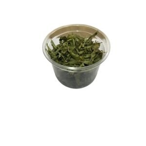 לואיזה יבשה