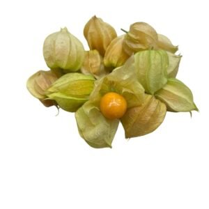 דובדבן גולדן ברי