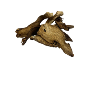 פטריות מיובשות